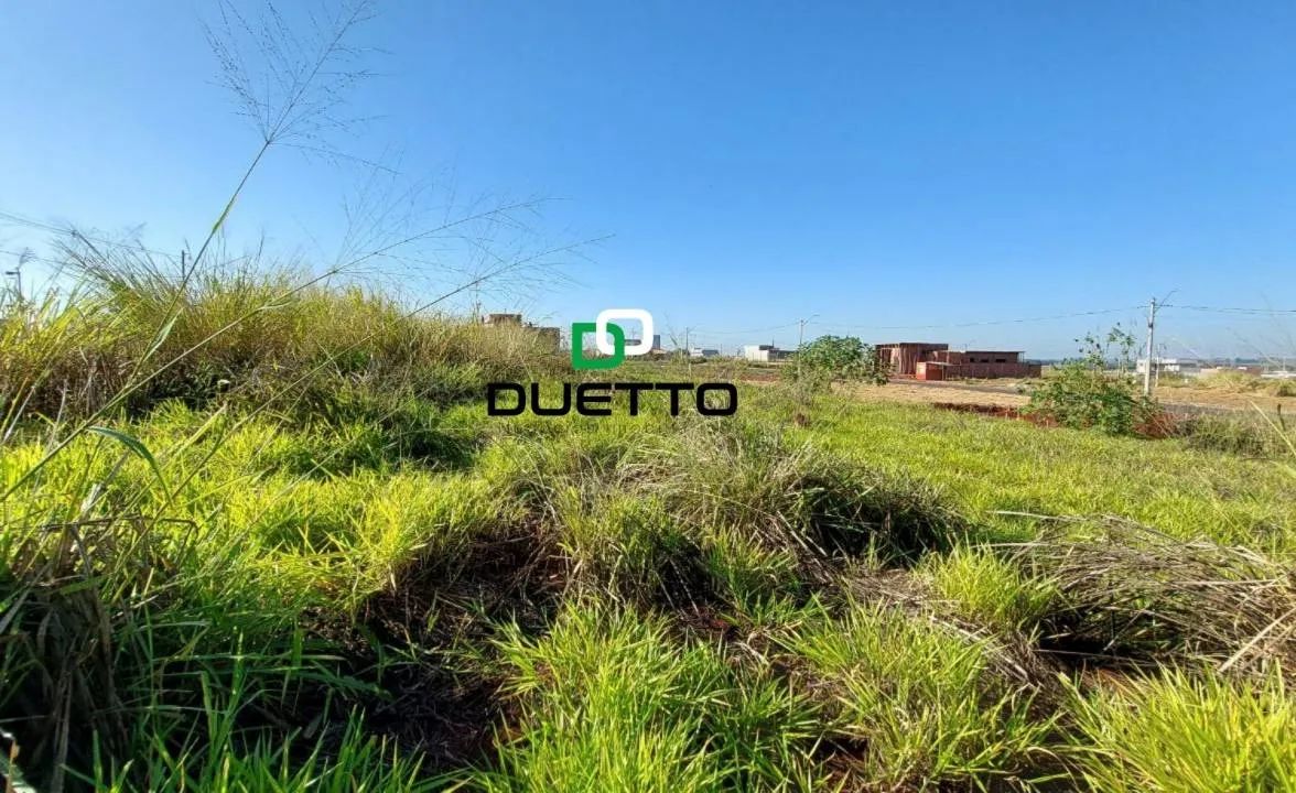 Terreno, à venda, 300 m², por R$ 240.000,00 - Jardim Florença - Nova Odessa/SP - Foto 4