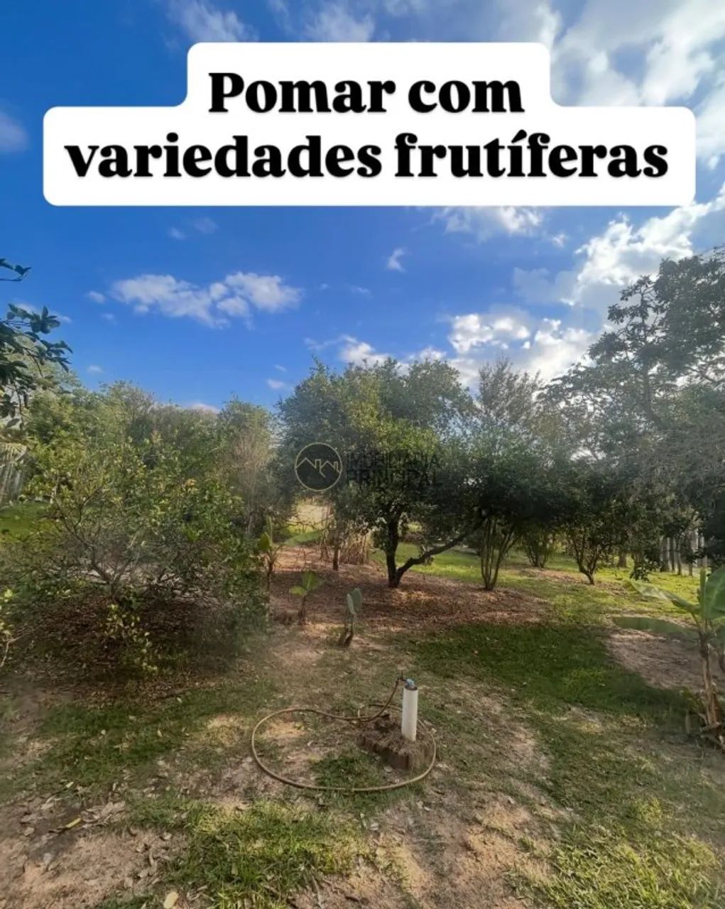 Chácara para venda com 2400 m² e 2 quartos em Centro, Piratininga - SP - Foto 4