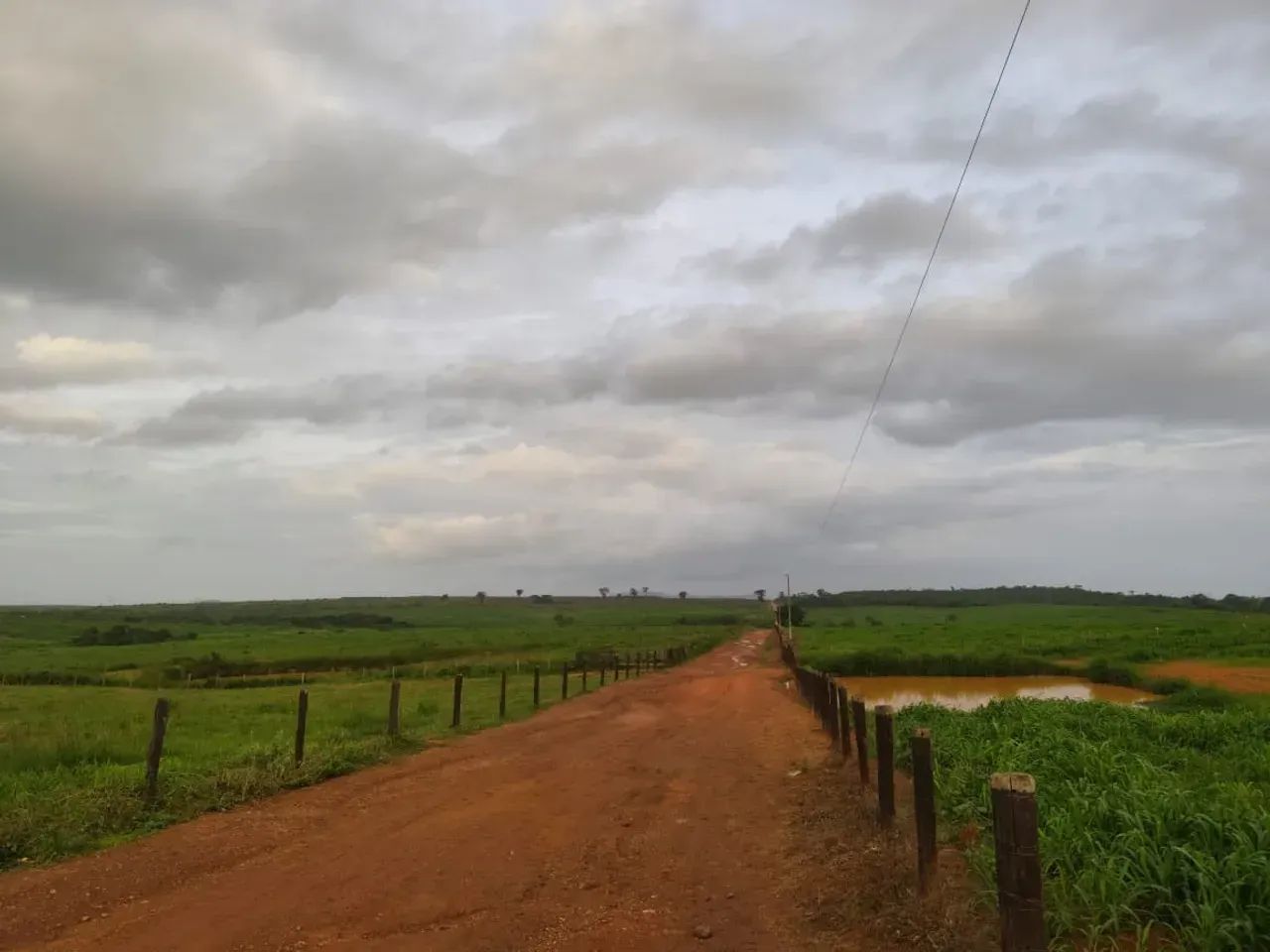 Fazenda a venda, em Xinguara Pará!!! - Foto 3