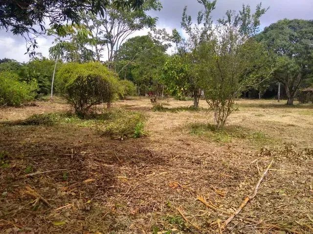 EXCELENTE LOTE EM ALDEIA, SÓ 200M DA ESTRADA DE ALDEIA - Foto 5