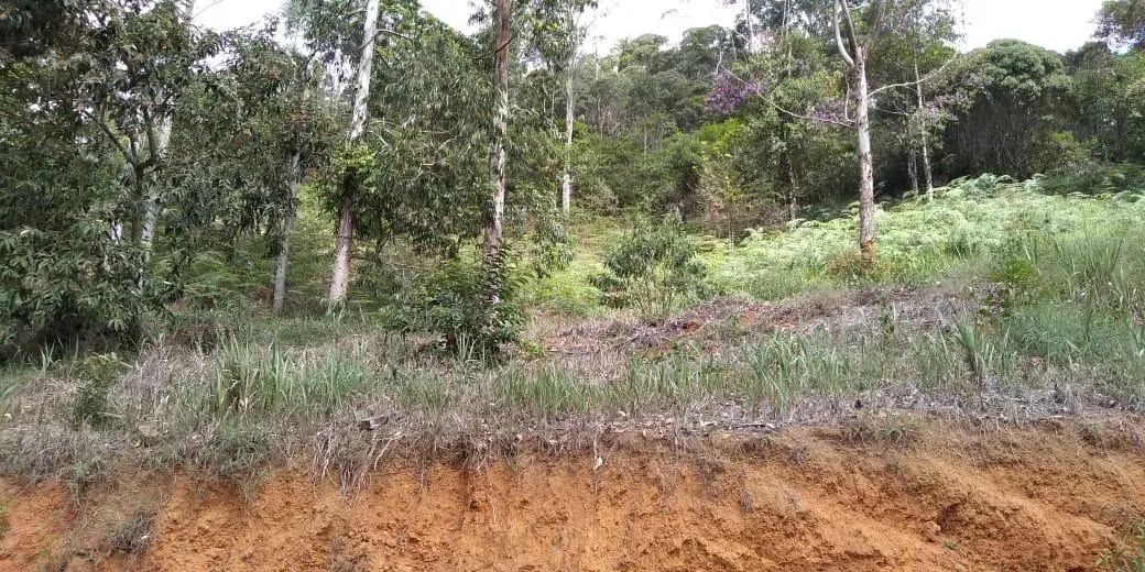 Chácara com 30.000 m² Zona Rural de Marechal Floriano - Foto 5