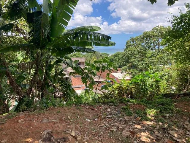 Terreno em Paripe - 458m² (Área Total) - Foto 5