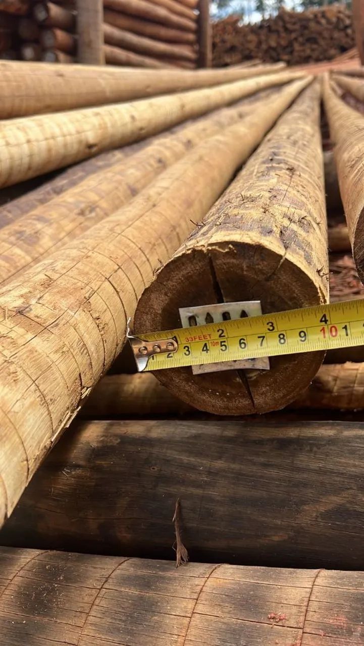 TREATED EUCALYPTUS 441140220905410561