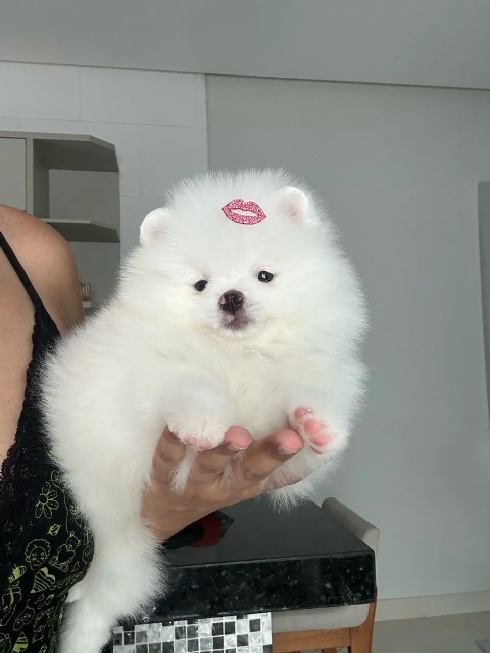 Lulu branca neve  - Foto 4