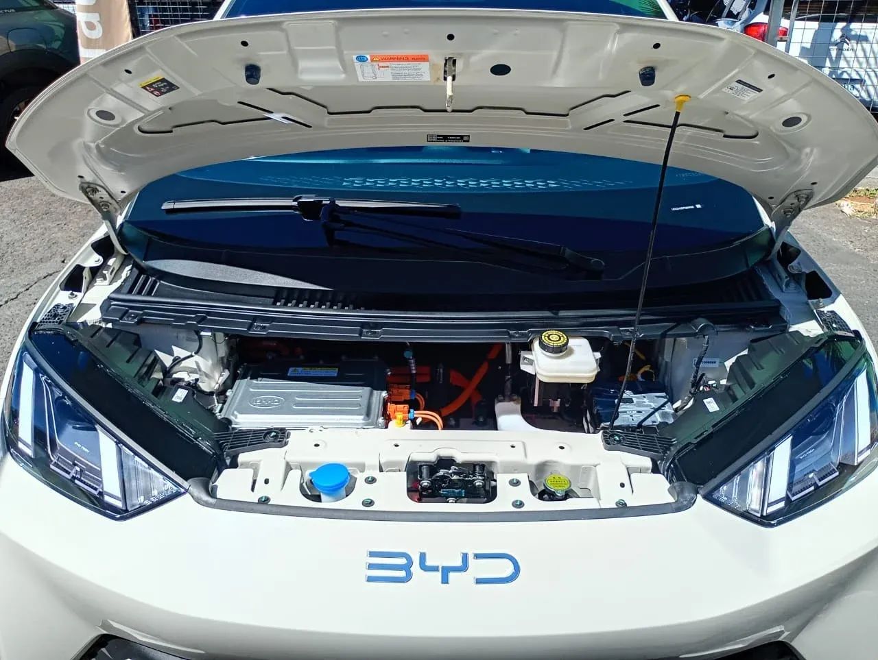 BYD Dolphin Mini (Elétrico) 2026 - Foto 5