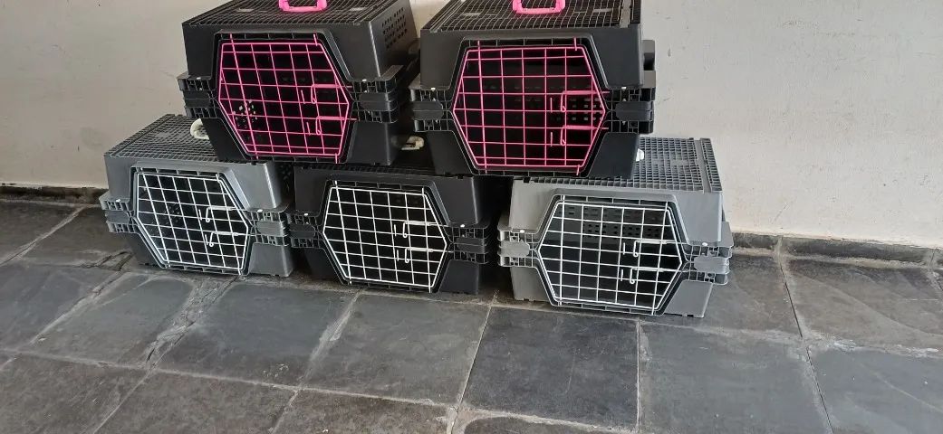 Caixa de Transporte para Animais. Super Resistente. - Foto 4