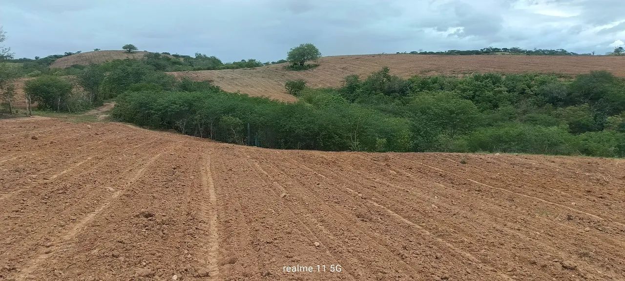 Terreno povoado barreiro Sítio do Quinto BA. - Foto 4
