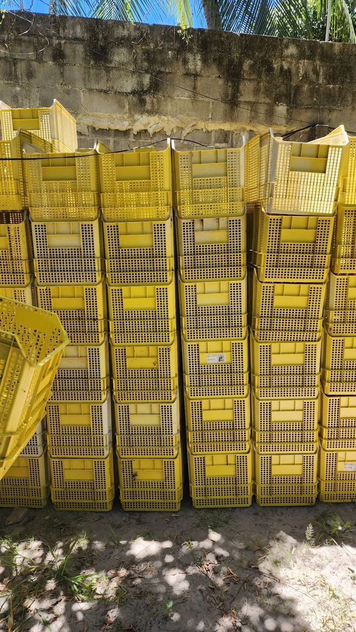 Ecoboxes linha BIN - Foto 3