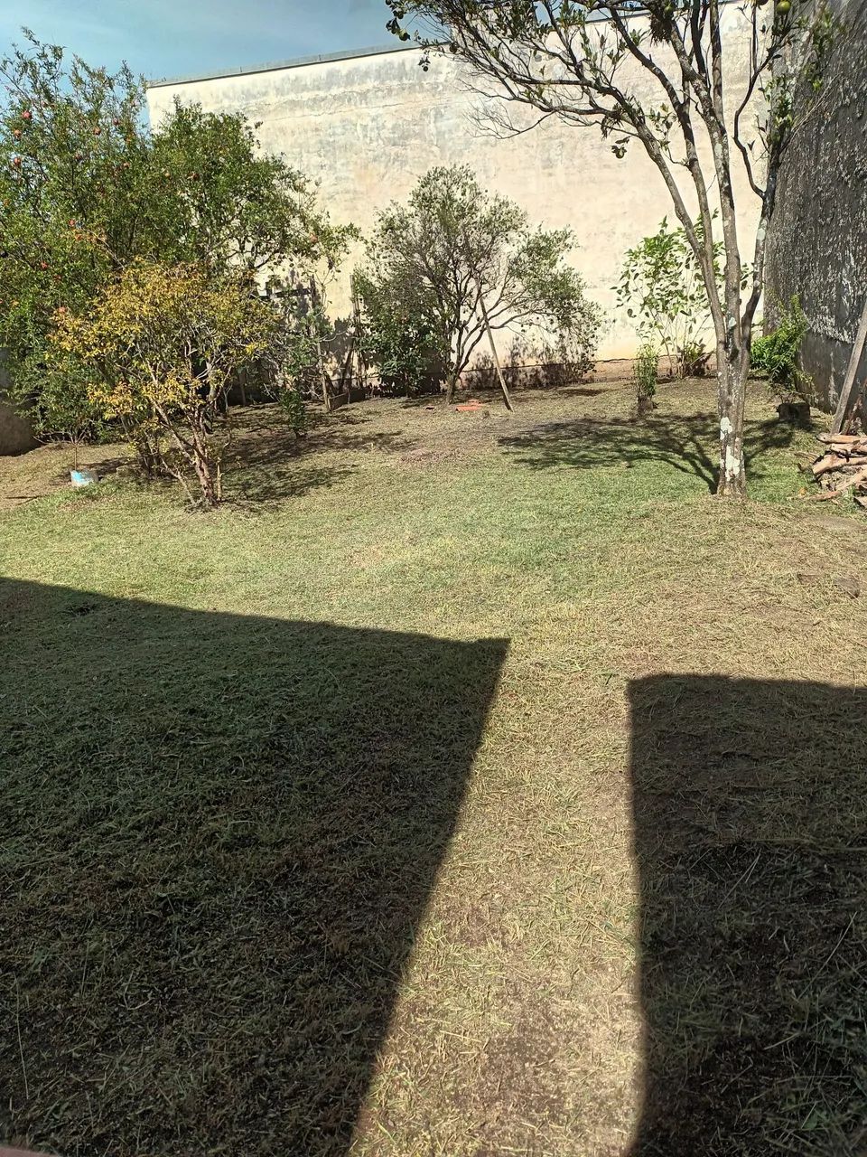 Jardineiro  - Foto 4