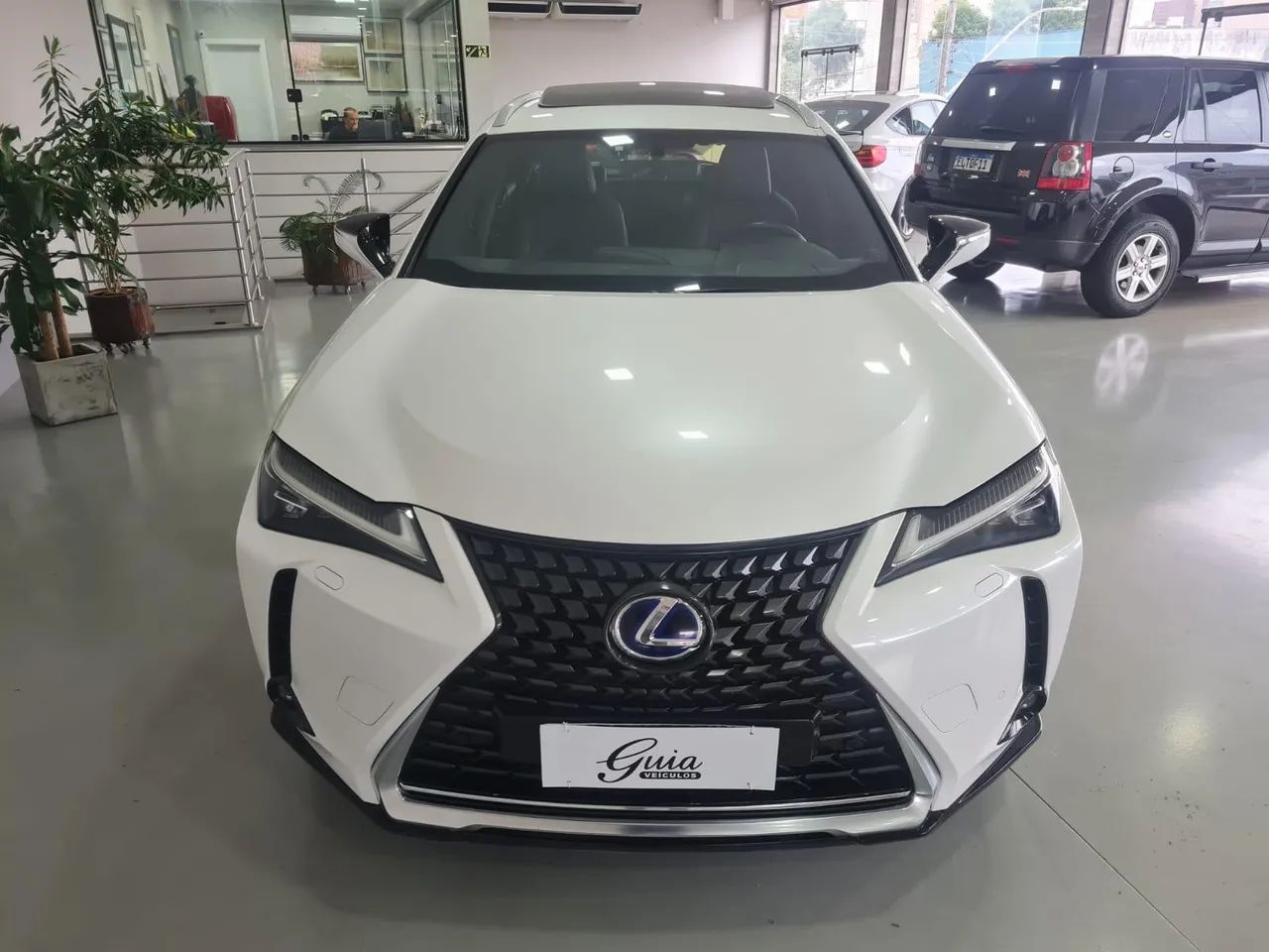 Lexus UX-250h Luxury 2.0 16V Aut.(hybrid), foto 4 de 20