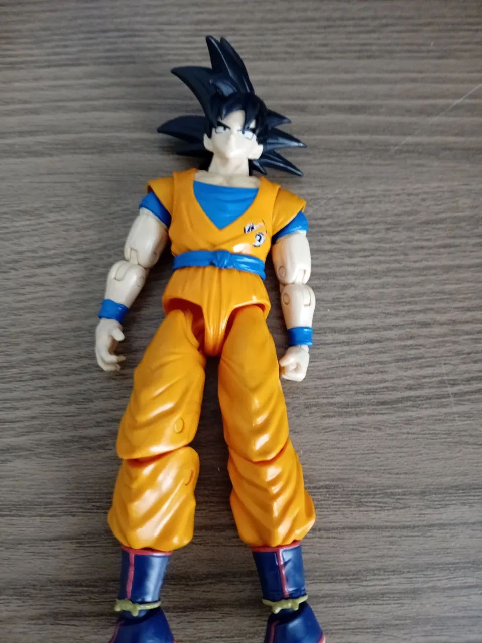Goku - Foto 4