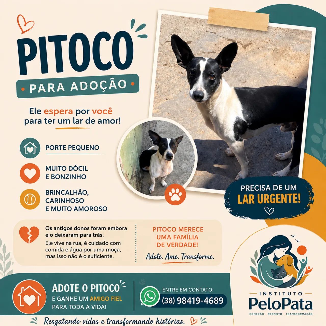 Adote!