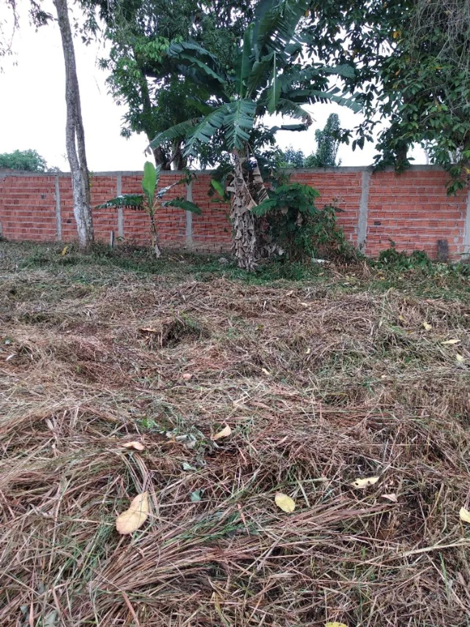 OTIMO LOTE NA VILA ACRE, 25m X 40m  - Foto 5