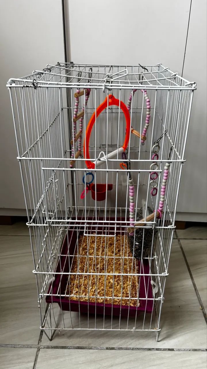 Gaiola com kit completo  - Foto 3