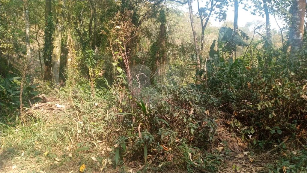 Terreno à venda em Caraguatá - SP - Foto 2