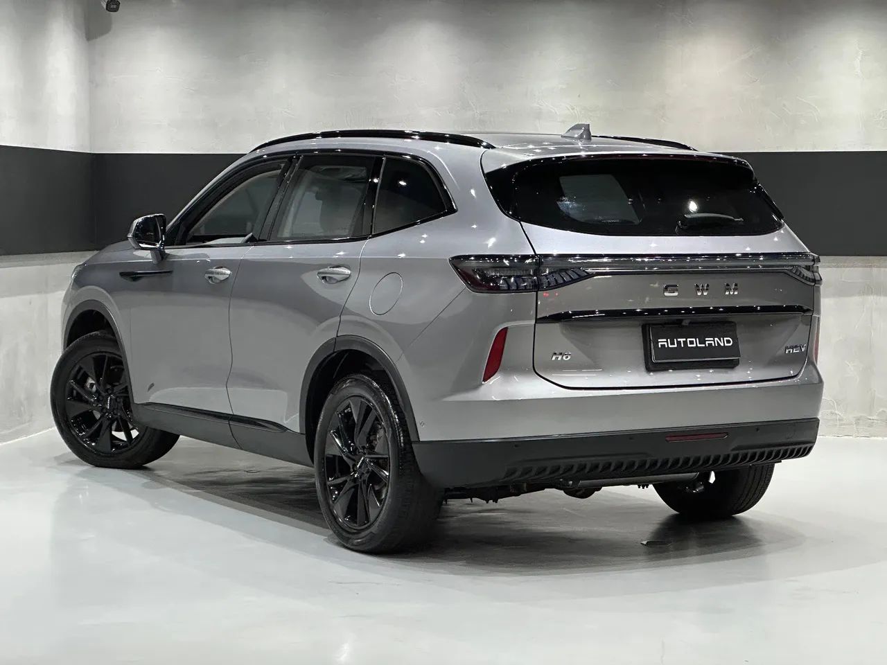 GWM Haval H6 HEV (hibrido), foto 2 de 20