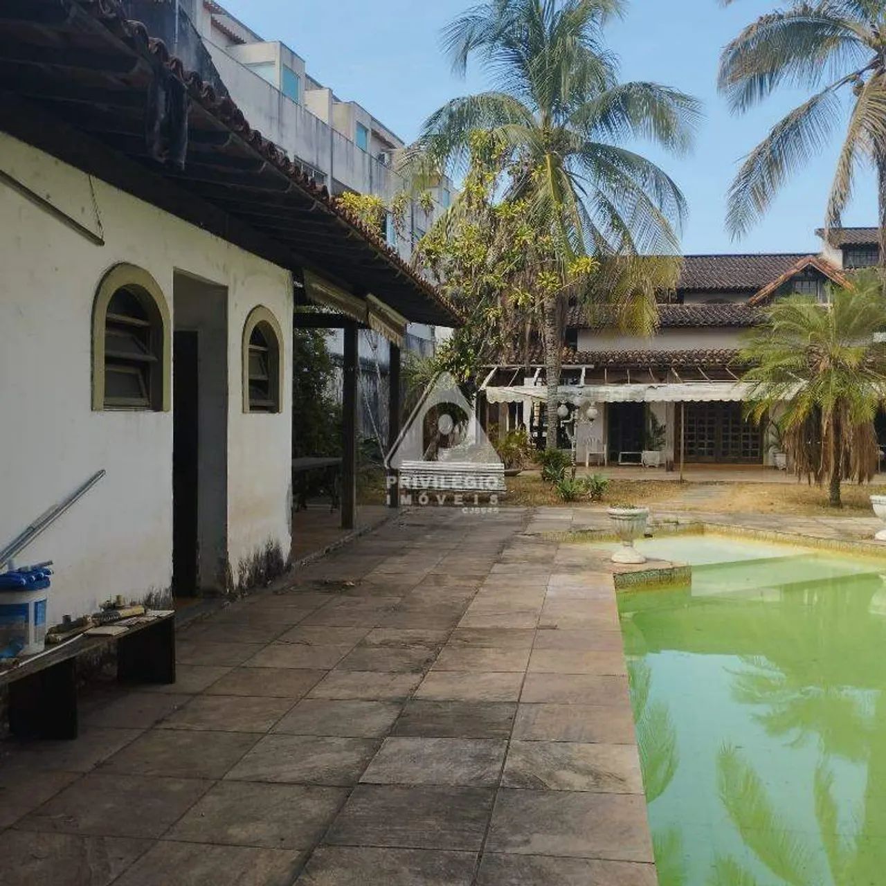 Casa de rua com 5 quartos, piscina e muito verde