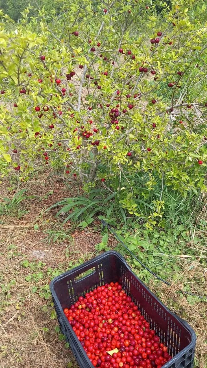 ONDE A PAZ FEZ A MORADA.  - Foto 4