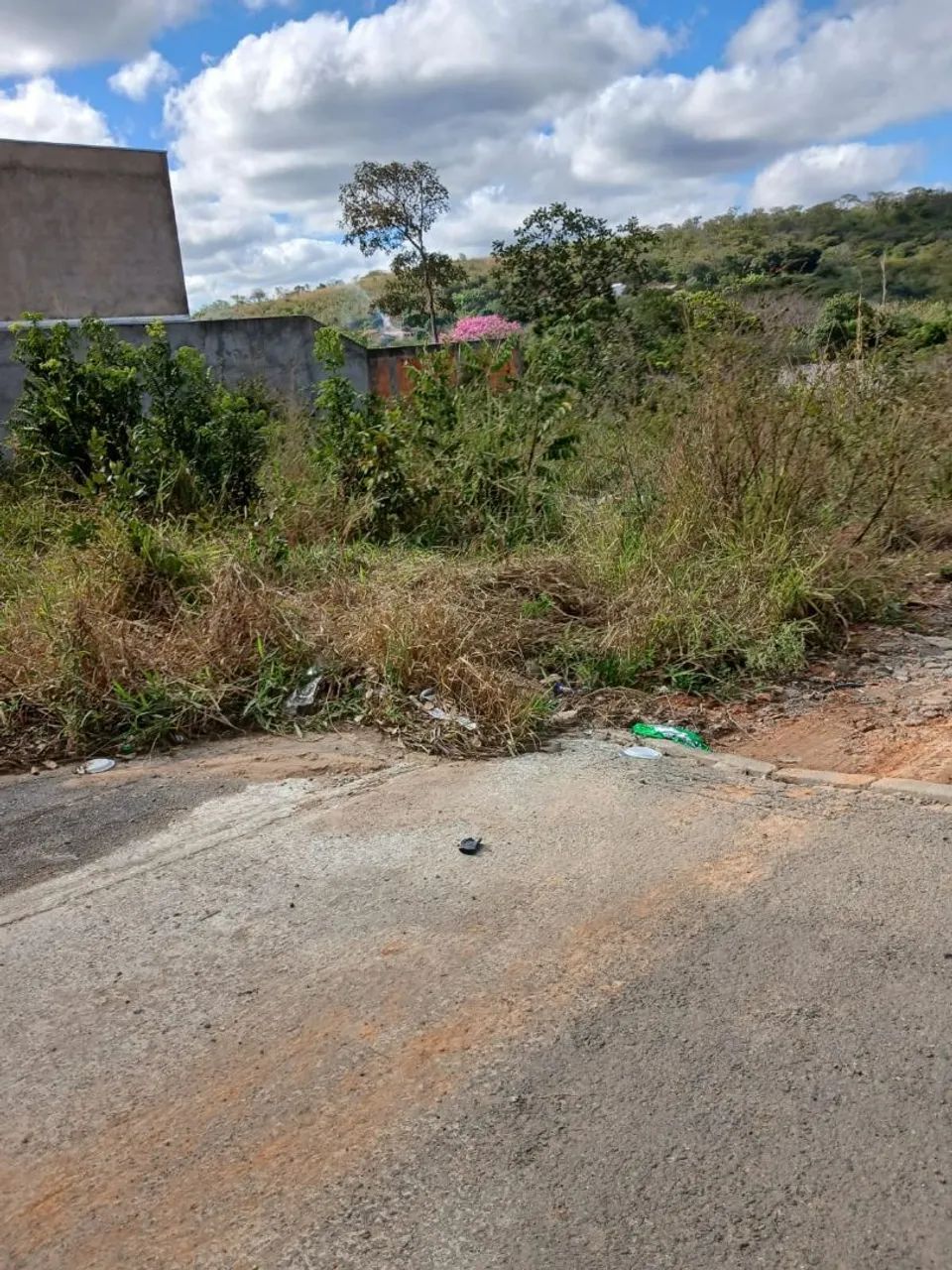 Lote - Foto 5