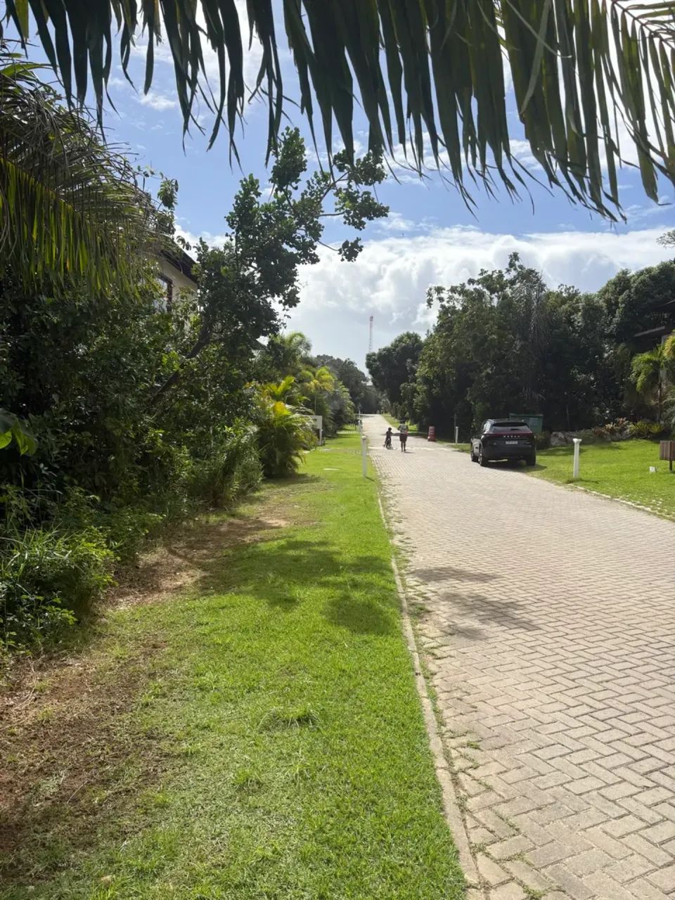 Ilha dos Passaros Praia do Forte - Foto 4