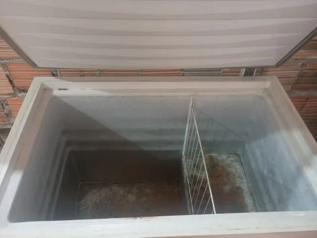 Freezer Electrolux  - Foto 3