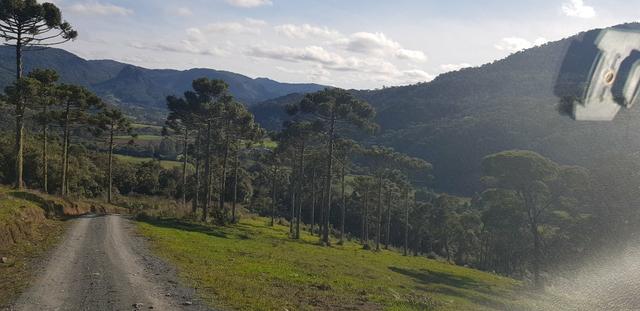 Sítio em Urubici/chácara em Urubici/ - Foto 6
