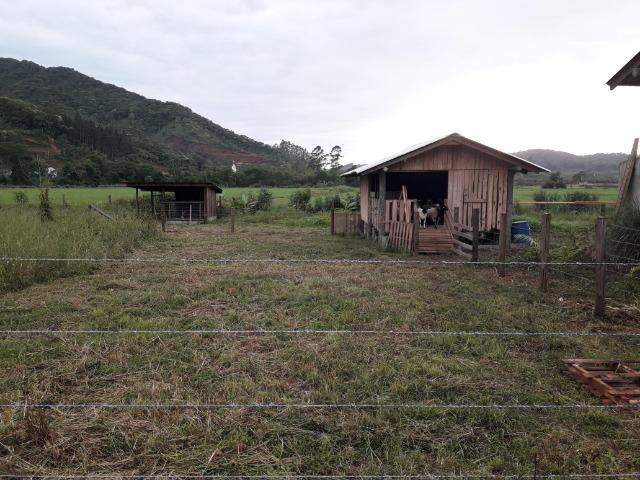 Sitio 23.000 mt² em Luiz Alves SC - Foto 18