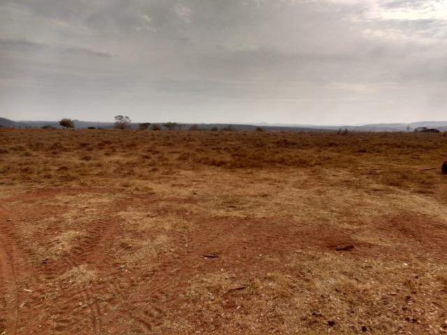 Fazenda Plana. 833 Alq. Iporá-GO. (Abaixo do Preço) - Foto 4