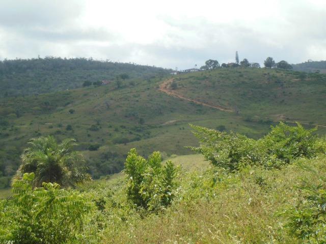 Fazenda em Mundo novo - Foto 11