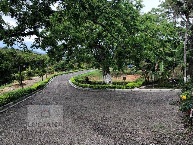 Propriedade em Mandacarú (Cód.: 31da83) - Foto 2