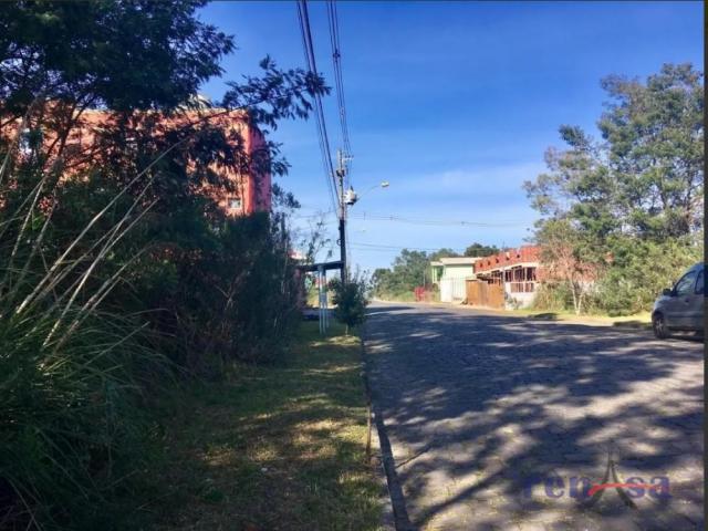 Terreno em caxias do sul - Foto 3