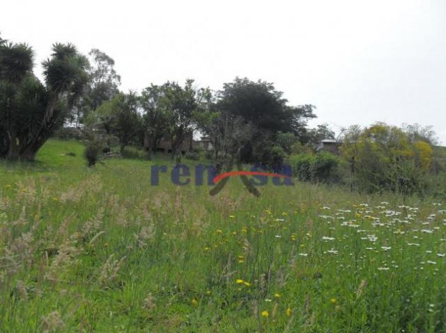 Terreno em caxias do sul