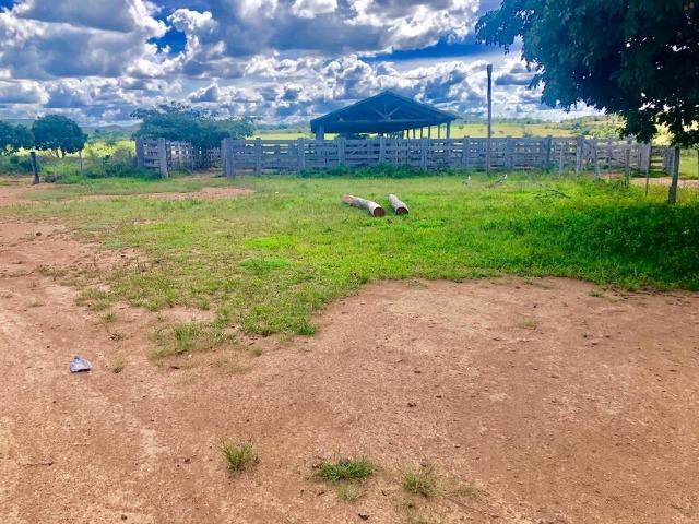 Fazenda em Paranatinga MT - Foto 8