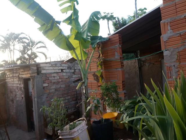 Casa - Foto 5