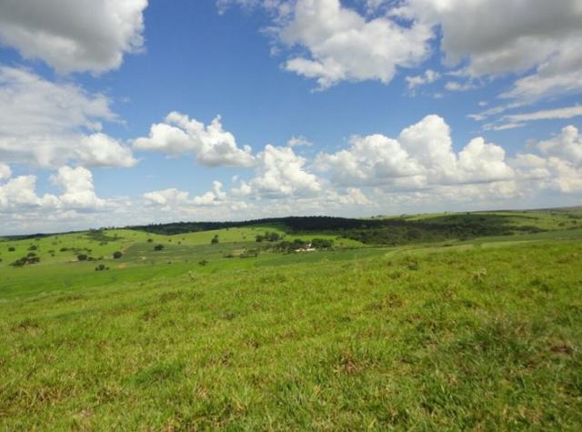 Fazenda 700 Alqueires - Região de Presidente Prudente-SP - Foto 9