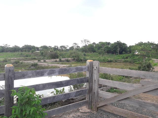 Sítio muito barato - Foto 4