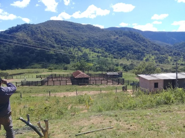 Fazenda de 343 Alqueires em Formosa Go  - Foto 2