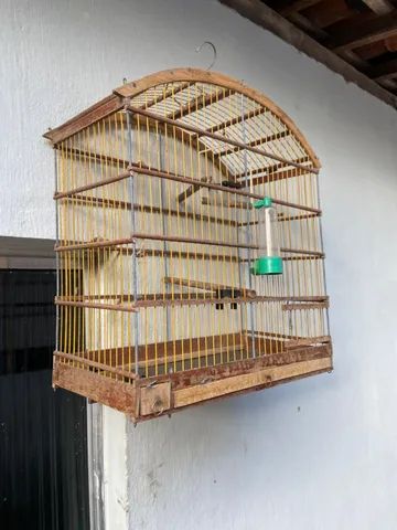 Gaiola