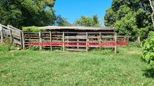 Sítio 2,9 alqueires - Casas, rio, represa, curral - Foto 4