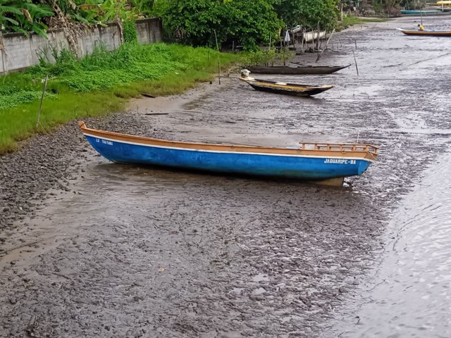 CANOA COM MOTOR B9