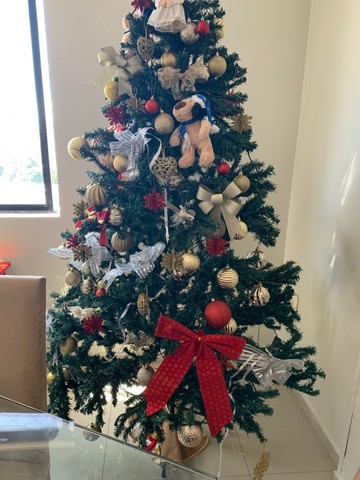 Venda de arvores de natal | +282 anúncios na OLX Brasil Venda de arvores de natal | +282 anúncios na OLX Brasil