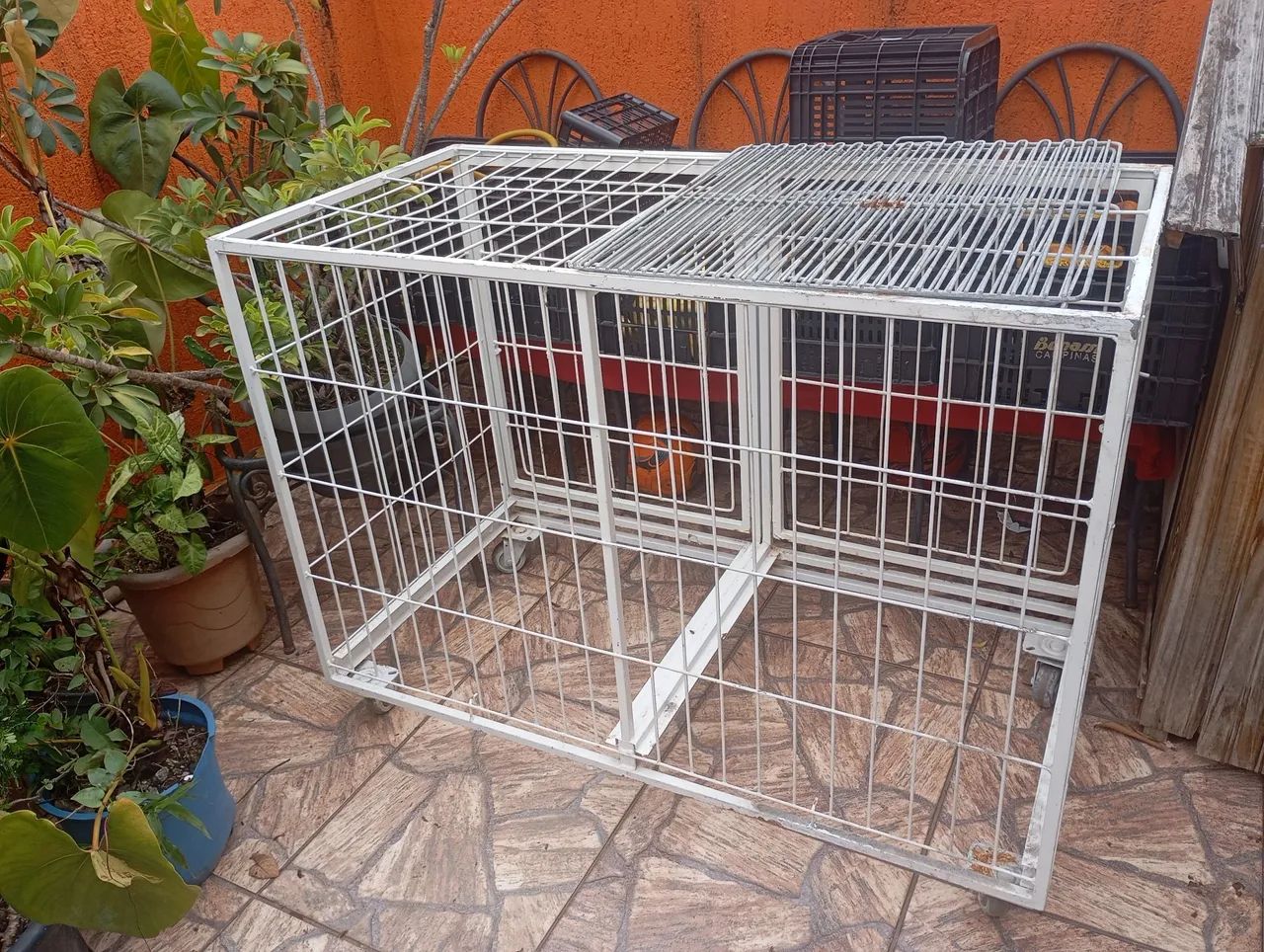 Canil grande para pet