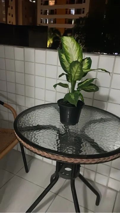 Apartamento aconchegante com varanda e vista para a cidade - Foto 3