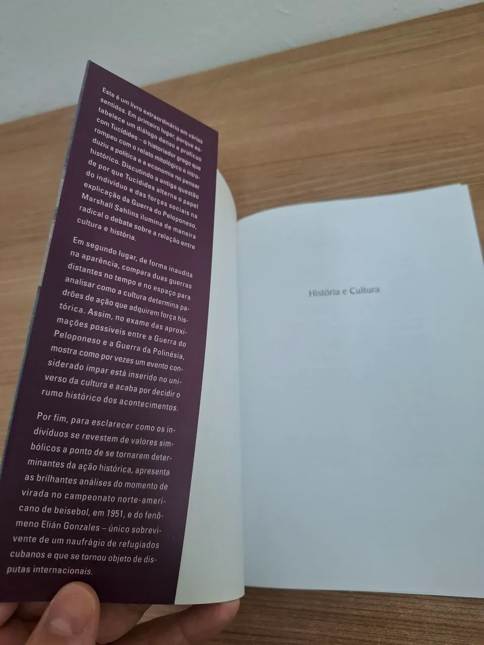 HISTÓRIAS E CULTURA: APOLOGIAS A TUCÍDIDES - Foto 3