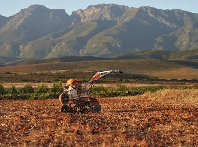 Motocultivador a gasolina ( Stihl ) - Foto 2