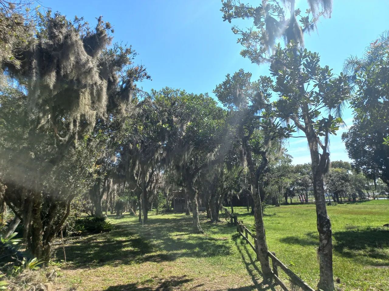 Propriedade exclusiva na Lagoa das Malvas em Maquiné - Foto 11