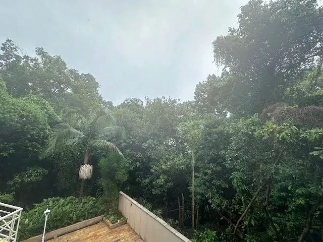 Casa para alugar em Santana de Parnaíba, Tarumã, com 4 quartos, com 350 m², Residencial Ta - Foto 3