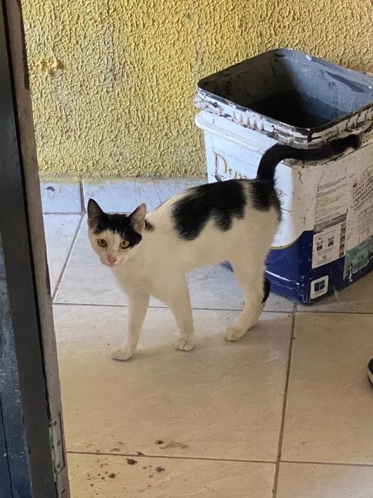 Doação responsável. 