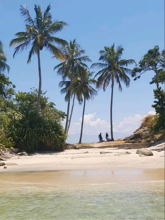 Aluguel de lancha em Itacuruçá  - Foto 4