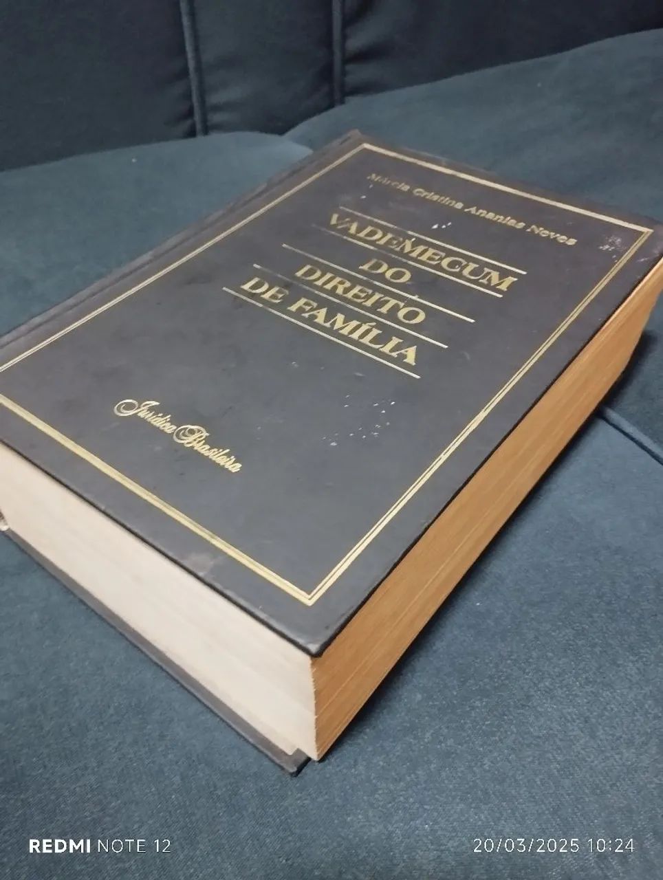 Vademecum do Direito de Família